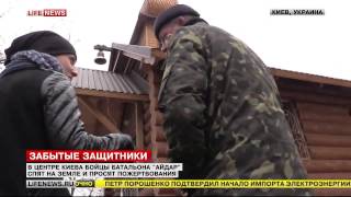 Бомжи батальона «Айдар» побираются в Киеве  LifeNews [upl. by Ahsuatan]