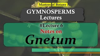 Lecture 7  Gnetum General features amp Life Cycle  Gymnosperm Lecture Notes [upl. by Nlycaj]