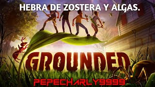 Dónde encontrar Hebra de zostera y algas en GROUNDED [upl. by Enak40]