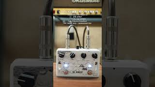 ビートルズが使用したアンプを再現！Aclam Guitars Dr Robert v2 in30secondslep [upl. by Rolph388]