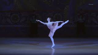 オダリスク・パ・ド・トロワ、第2オダリスク「海賊」キエフバレエ団Odalisque Pas de Trois 2nd Odalisque quotLe Corsairequot Kiev Ballet [upl. by Reidar661]