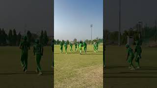 Falcon Champions ready to field ☄️ cricket matchday tournament t20 shortvideo ytshorts fyp [upl. by Roumell]