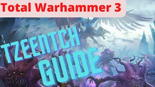 TW3  Tzeentch Guide Tips and Tricks [upl. by Aihsercal]