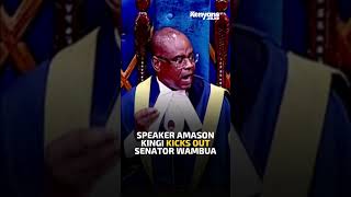 Speaker Amason Kingi Kicks Out Senator Wambua [upl. by Assilam797]