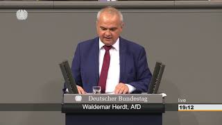 Russlanddeutscher Waldemar Herdt AfD  Entwicklungshilfe für Kamerun [upl. by Barthelemy]