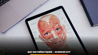 Sommaire ： Sciences SVT – Bac Mathématiques [upl. by Iila737]