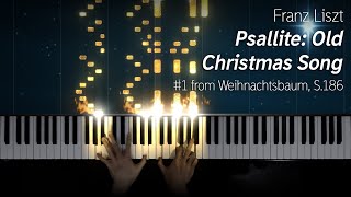 Liszt  Psallite Old Christmas Song from Weihnachtsbaum S1861 [upl. by Hsac708]