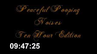 Peaceful Pooping Noises Ten Hour Edition [upl. by Jacy]