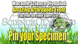 Macomb Elementary Science Olympiad Amazing Arthropods eventTips for Pinning your Specimen [upl. by Liddie]