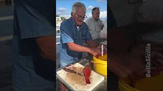 I giovani non vogliono fare questo mestiere tradizioni pesca sicilia isoladellefemmine [upl. by Lettie684]