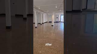 SCP The Doltone House Before amp After MPC polishedconcrete concretepolishing polishing [upl. by Tegirb]