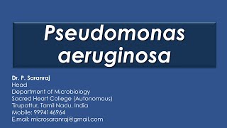 Pseudomonas aeruginosa [upl. by Gayelord571]