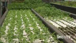 Aquaponics Farming of the Future  Sci NC [upl. by Ohploda]