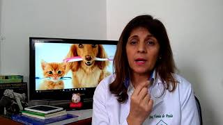 Tártaro em Cães e Gatos3 dicas para impedir a formação de tártaro [upl. by Esilahs]