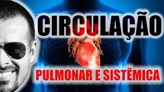 Sistema Circulatório Circulação pulmonar e circulação sistêmica esquema didático  VideoAula 004 [upl. by Guod]