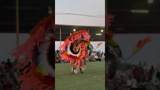 Mens Fancy Samson Cree Nation Powwow Oceania na nativeamerican powwow culture dance shorts [upl. by Lorinda]