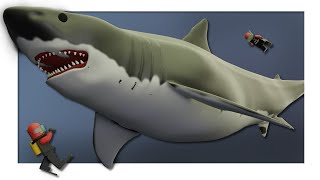 Shark size comparison with LEGO minifigures Prehistoric Sharks included 2021 [upl. by Karas159]