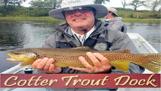 October 2 2024 Arkansas Trout Fishing Report [upl. by Noskcire661]