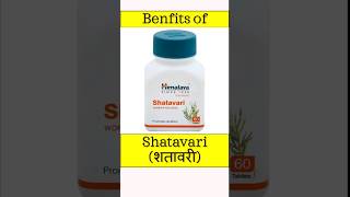 शतावरी के फायदे  shatavari ke fayde  benefits of shatavari  drugloft medicine [upl. by Kjersti]