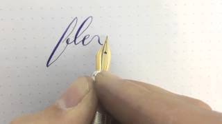 Testing 14k nib flex [upl. by Anastasius]