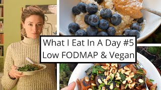 What I Eat In A Day 5  Low FODMAP amp Vegan Recovering from IBS [upl. by Lashar76]