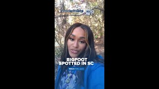 Bigfoot spotted in SC shorts shortnews bigfoot bigfootsighting southcarolina sc cryptid [upl. by Odlaniger749]