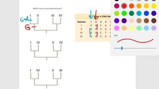 Find the most parsimonious tree [upl. by Gherardo]