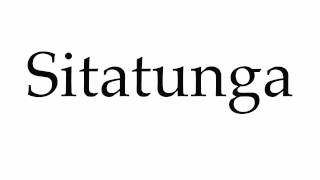 How to Pronounce Sitatunga [upl. by Brenan]