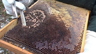 Imkerkurs 03März 2018 Bienen im Winter  Schweizer Kasten [upl. by Wallach]