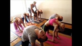 Ashtanga Yoga Weekend with Tim Miller at Miami Life Center [upl. by Antonin]