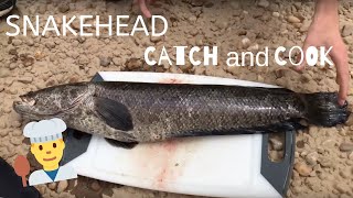 SNAKEHEAD Fish CATCH and COOK in MARYLAND FIRST TIME [upl. by Xonnel]