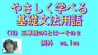 やさしく学べる文法用語（基礎編）（1２）三単現のSとは～その２【例外 es ies】 [upl. by Bracci]