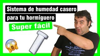 🐜🏠 Sistema de humedad casero para tu hormiguero 2018  Hormigas en casa ✅ [upl. by Entsirhc]