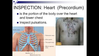 Precordium Inspection for signs of cardiovascular system diseases [upl. by Layor]