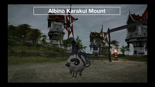 Final Fantasy XIV  Albino Karakul Mount [upl. by Mehta]