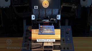 Waldorf M 16 Voice 🎹 Waldorf WaldorfM16Voice synth wavetable synthesizer UnitedMusic [upl. by Gino]