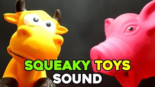 Squeaky Toy Dog Sounds PLAY to Your Dog [upl. by Aileno]