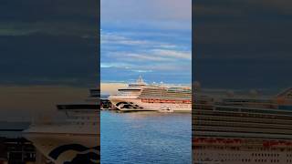 Holland america line ft 🛳️ kapalpesiar cruiseship cruise travel hollandamericaline [upl. by Adnam]