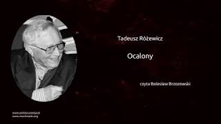 Tadeusz Różewicz  Ocalony [upl. by Sergias]