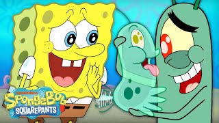 Plankton Adopts A New Pet 😍  quotPlanktons Petquot Full Scene  SpongeBob [upl. by Nairrad]