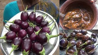 எண்ணெய் கத்திரிக்காய் புளிக்குழம்பு செய்முறை  Ennai Kathirikai Kulambu Brinjal gravy tamil [upl. by Elrae]