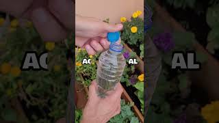 ESTE AGUA MATA a tus PLANTAS ¿Qué agua es mejor  Plantas de jardín y huerto urbano shorts [upl. by Brunhild]