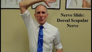 Nerve Slide Dorsal Scapular Nerve  Shoulder Abduction [upl. by Jilli]