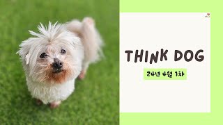 띵독Think Dog 24년 4월 소식 하나 [upl. by Janette266]