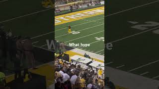 Southern miss mascot dancing funny sports [upl. by Nylyaj]