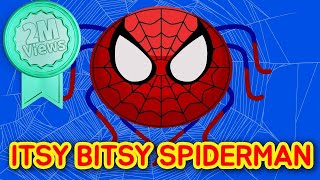 ITSY BITSY SPIDER MAN  Song for Children  Superhero Songs  Super Simple Songs  Incy Wincy Spider [upl. by Cathryn]