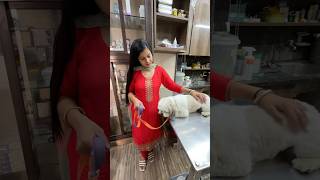 Hospital leke jana Pada Mortu ko Emergency Mai 🐶minivlog sanjhalikavlog dog doglover hospital [upl. by Ennaear]