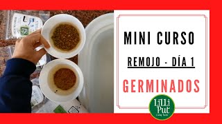 🌊REMOJO DE SEMILLAS 👉 Cultivo de GERMINADOS DÍA 1️⃣ [upl. by Falconer]