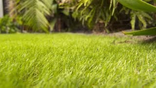 Mitre 10 DIY Artificial Lawn Installation Made EASY  Mitre 10 Easy As DIY [upl. by Yelak]