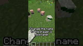 How To Get Players Heads in Minecraft 🗿 shorts [upl. by Ursulette]